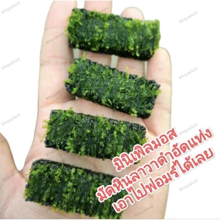 มอสมินิเพิล เฟรมมอส มอสน้ำ มอสตู้ปลา มอสอ่างบัว