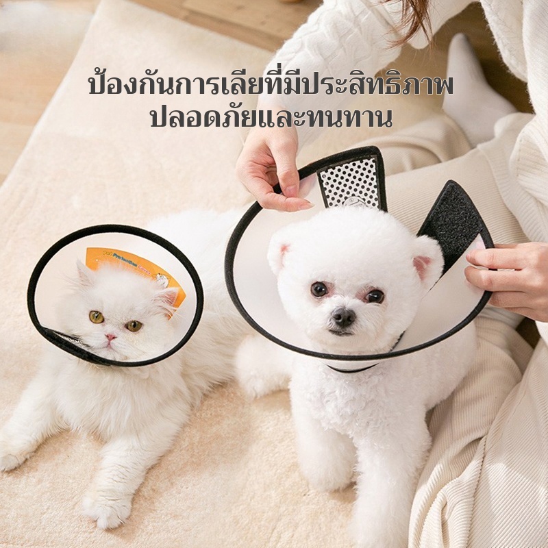 Elizabeth pet hood 🐾 ปลอกคอกันเลีย 🛡️ ลำโพงกันเลีย 🎺 คอลล่ากันเลีย 🐶🐱 คอลล่าสุนัข🐕คอลล่าแมว🐈ลำโพงหมา