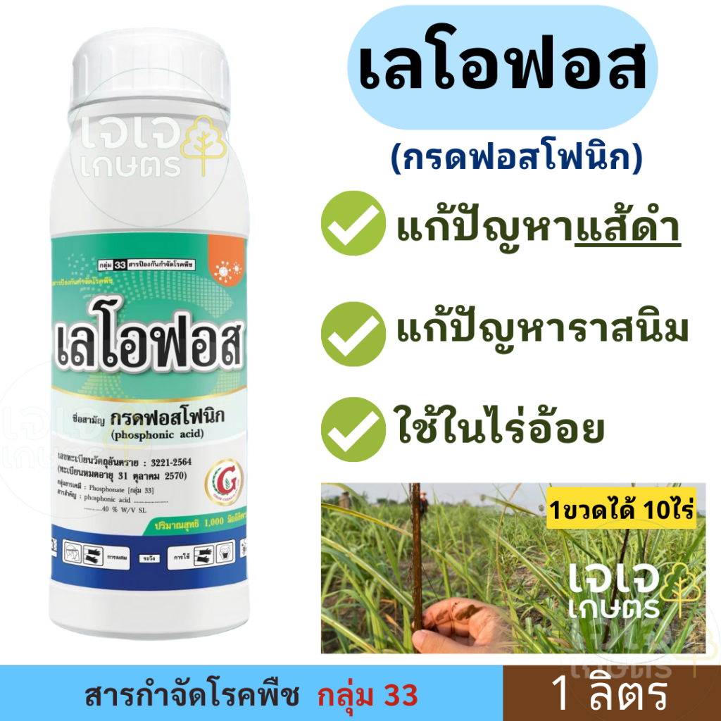 เลโอฟอส 1ลิตร แก้ปัญหา ( แส้ดำ ราสนิม โรคเชื้อรา ในไร่อ้อย ) สาร กรดฟอสโฟนิค
