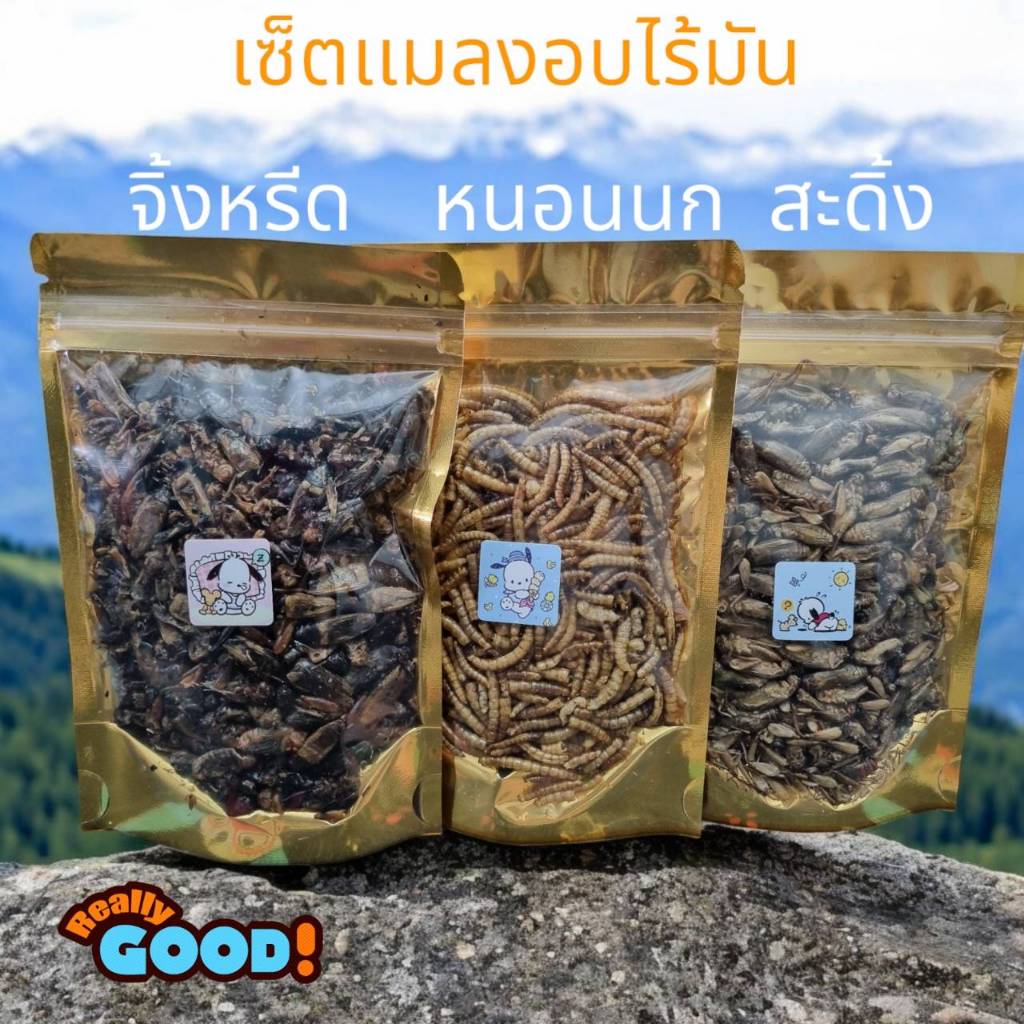 รวมแมลงอบเเห้ง 100กรัม ยกเซ็ต หนอน จิ้งหรีด สะดิ้ง 3ซอง สุดคุ้ม โปรตีนสูง ไร้น้ำมัน