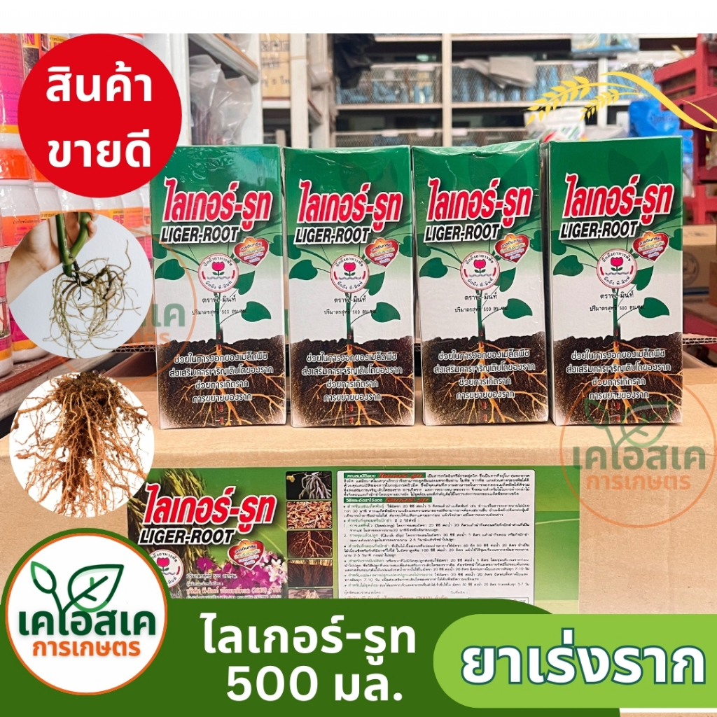 ถูกที่สุด ไลเกอร์-รูท ธาตุอาหารรอง ยาเร่งราก เร่งการแตกหน่อ ขนาด 500 ลบ.ซม. ( พร้อมส่ง )