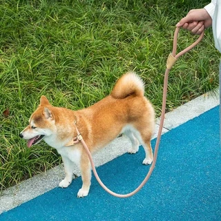 สายจูงสุนัข 🐶 สำหรับพันธุ์กลาง-ใหญ่ 🌈 มีหลายสี หลายไซส์ สายจูงหมา จูงสัตว์เลี้ยง ดีไซน์สวยมาก ✨
