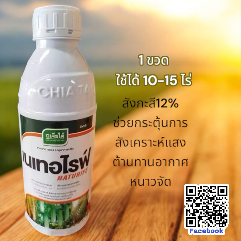 เนเทอไรฟ์(เจียไต๋) ขนาด 1 ลิตร - กำมะถัน 4 % สังกะสี12% ช่วยกระตุ้นกระบวนการสังเคราะห์แสง