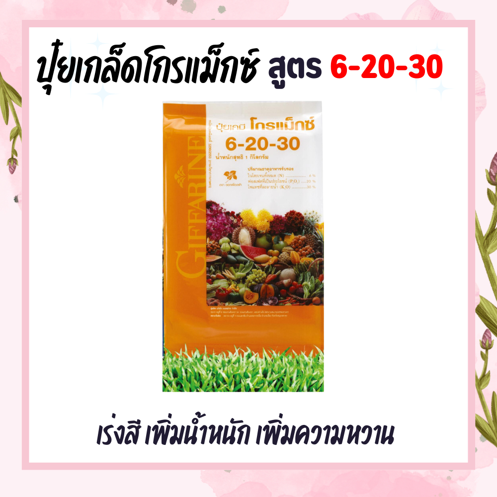 ปุ๋ยกิฟฟารีน เกล็ดโกรแม็กซ์ สูตร 6-20-30 ปุ๋ยระยะลงหัว ปุ๋ยสร้างน้ำหนัก ปุ๋ยสร้างแป้ง ปุ๋ยสร้างน้ำตาล