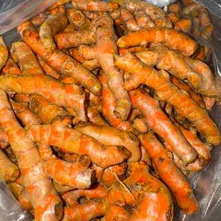 ขมิ้นชันสด หัวขมิ้นสวยๆ เกรดสวย ล้างสะอาด พร้อมส่ง