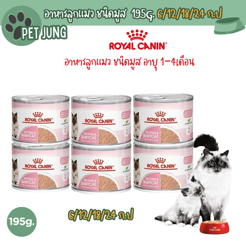 [6/12/18/24 กระป๋อง] Royal Canin อาหารแม่และลูกแมว ชนิดเปียก (MOTHER & BABYCAT MOUSSE) [EXP 1/26]