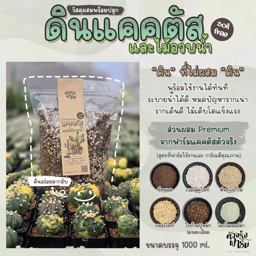 ดินแคคตัส และไม้อวบน้ำ ดินกระบองเพชร Cactus mix soil ดินที่ไม่ผสมดิน ดินโปร่ง ดินพรีเมี่ยม ดินแคตตัส