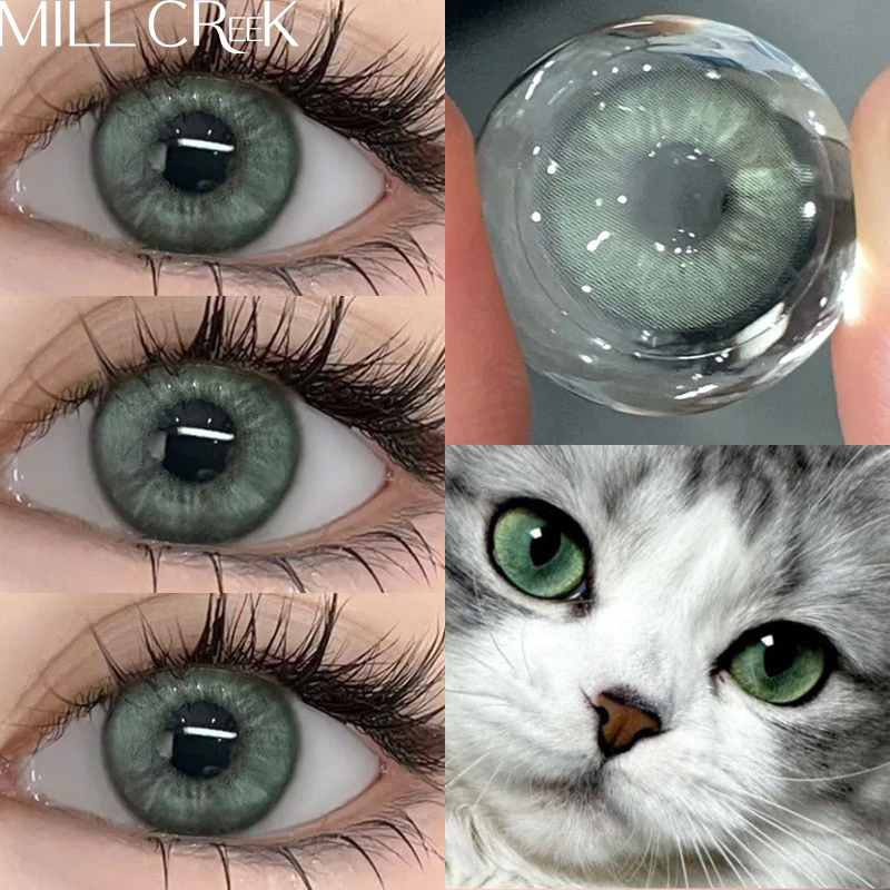 MILL CREEK Color Contact Lens คอนแทคเลนส์ สีเขียว Green/Grey 14.2mm 0.00~-8.00องศา 12 เดือน ใส่สบาย คอน