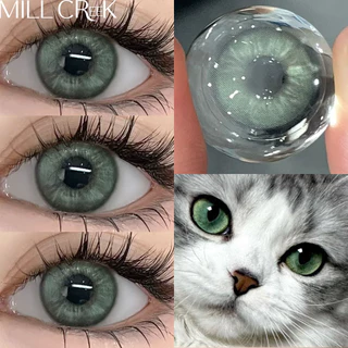 MILL CREEK Color Contact Lens คอนแทคเลนส์ สีเขียว Green/Grey 14.2mm 0.00~-8.00องศา 12 เดือน ใส่สบาย คอน