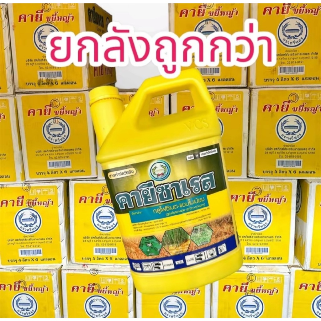 คายีซาเรส – กลูโฟซิเนต-แอมโมเนียม ขนาดบรรจุ  4 ลิตร/แกลอน รูปที่ 2