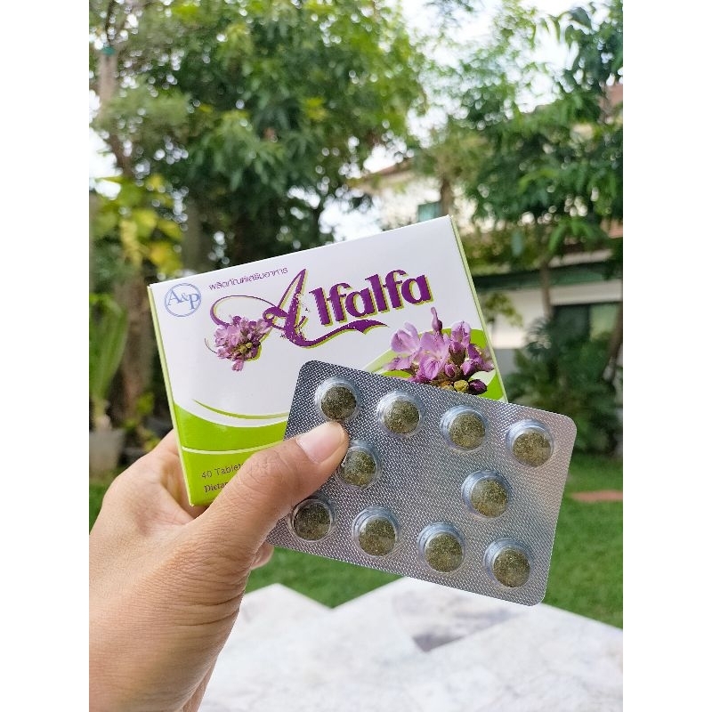 อาหารเสริมอัลฟัลฟา  Alfalfa ผลิตภัณฑ์อาหารเสริมมาตรฐานระดับโลกNSF