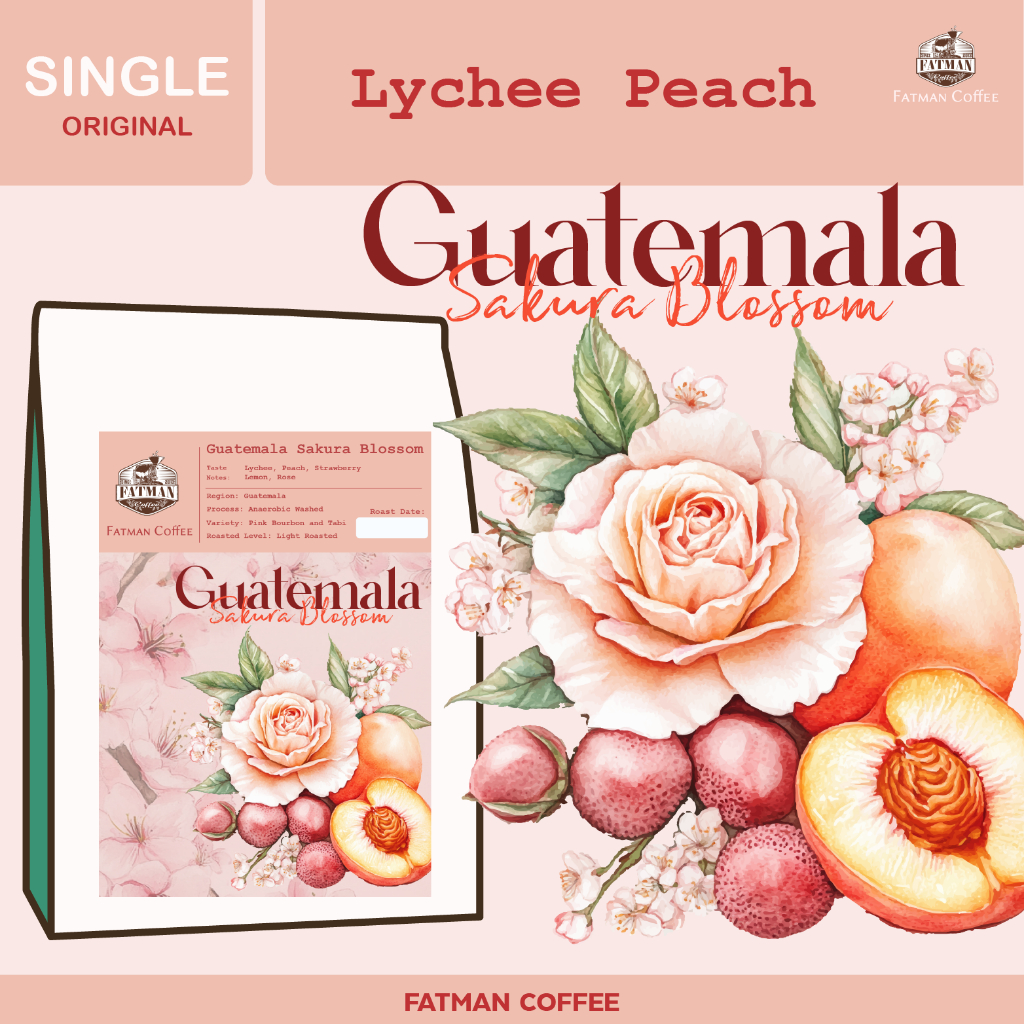 เมล็ดกาแฟคั่วอ่อน Guatemala Sakura Blossom (Exotic coffee)