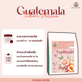 เมล็ดกาแฟคั่วอ่อน Guatemala Sakura Blossom (Exotic coffee)