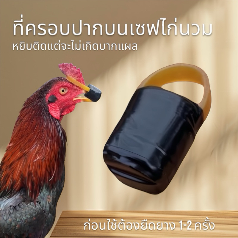 ที่ครอบปากบนเซฟไก่นวม ตัวเก่า ราคา ถูกที่สุด ดีลบีเคเค
