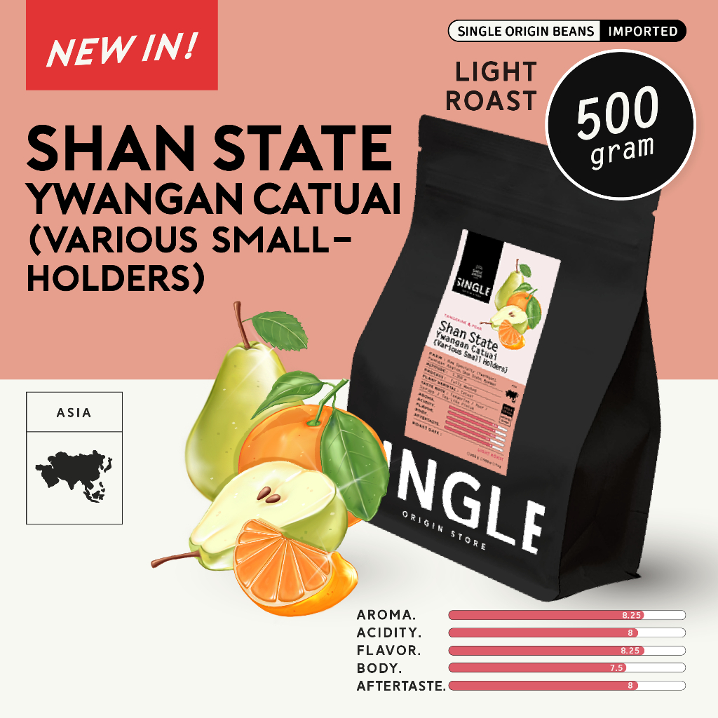 เมล็ดกาแฟคั่วอ่อน Shan State Ywangan Catuai (Various Smallholders) รูปที่ 3