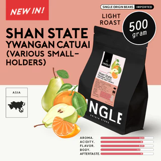 เมล็ดกาแฟคั่วอ่อน Shan State Ywangan Catuai (Various Smallholders)