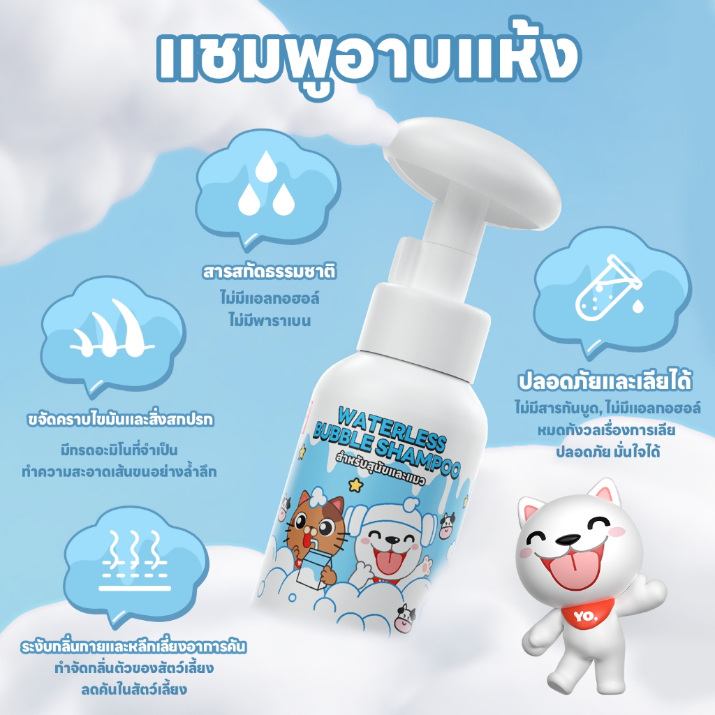 รูปภาพ 4