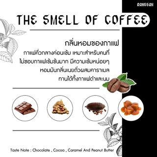 เมล็ดกาแฟ ศรีนวล อาราบิก้า+โรบัสต้า 60/40 คั่วกลางค่อนเข้ม (Rangsan)