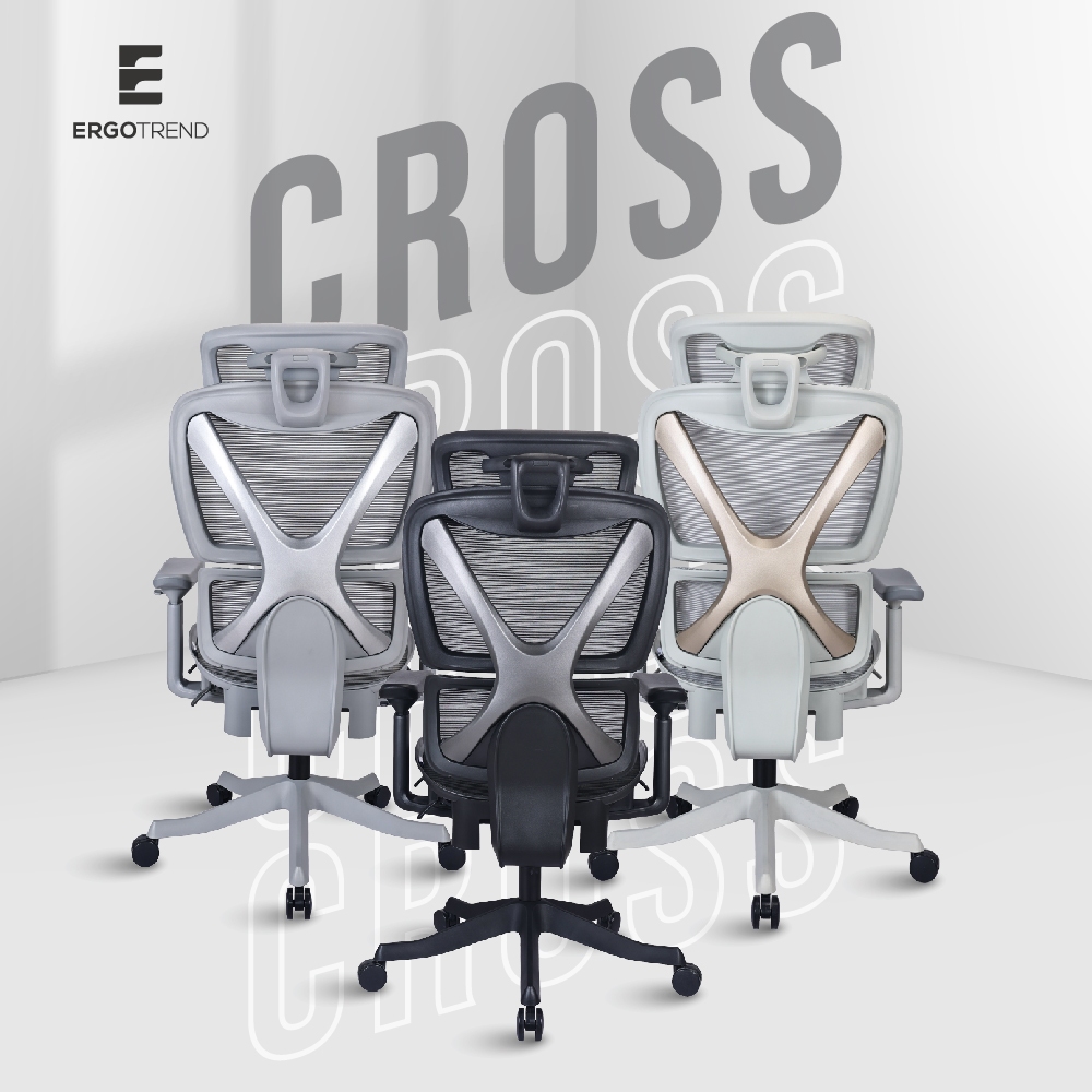 Ergotrend เก้าอี้เพื่อสุขภาพเออร์โกเทรน รุ่น Cross