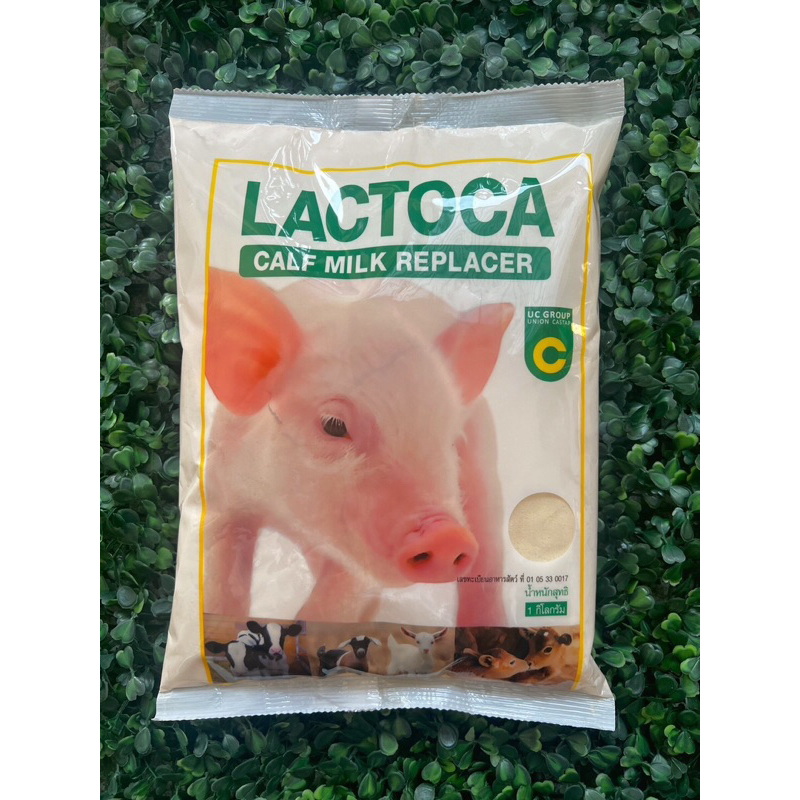 แลคโตคา LACTOCA นมผงสำหรับลูกสัตว์ วัว หมู เเพะ เเกะ