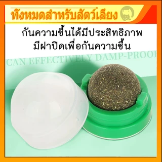 กัญชาแมว แคทนิปบอล ติดกำแพง ไม่กลิ้งหาย catnip ball