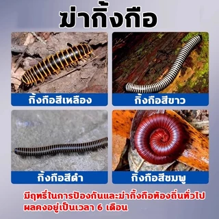 🐛ตายยกรัง🐛 ไล่กิ้งกือ 500g ผงฆ่าแมลงแลำหรับกิ้งกือ ผงกำจัดแมลง ยากำจัดแมลง ไซเพอร์เมทริน 0.2%