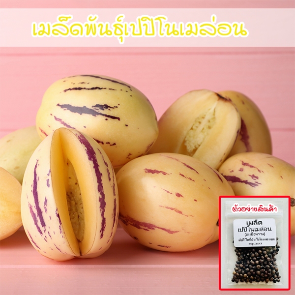 เมล็ดพันธุ์ มะเขือหวาน Pepino Melon 20-50 เมล็ด เปปิโนเมลอน รสชาติหวานสดชื่น ปลูกง่ายในทุกพื้นที่ (ซื้อ 10 แถม 1 คละได้)