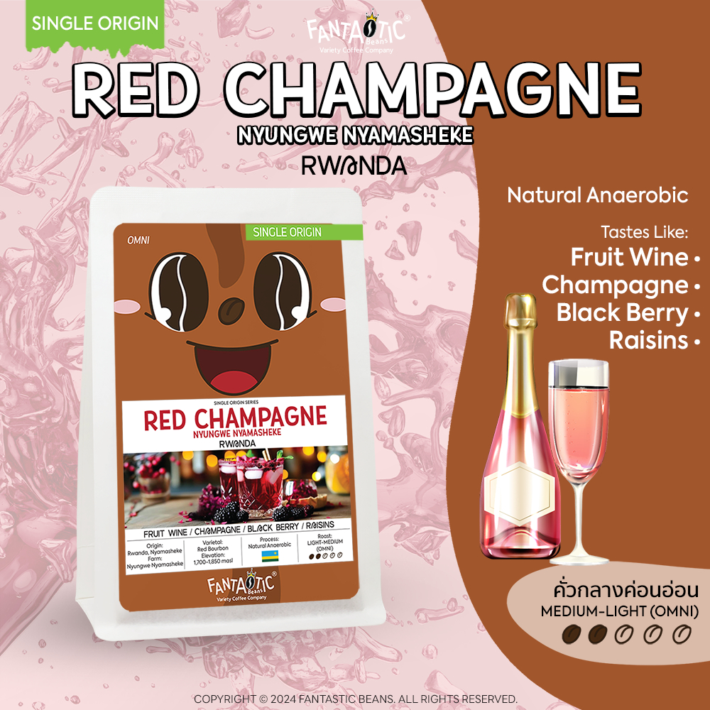 เมล็ดกาแฟ Rwanda Red Champagne Nyungwe Nyamasheke (คั่วกลางอ่อน) FANTASTIC Beans Coffee
