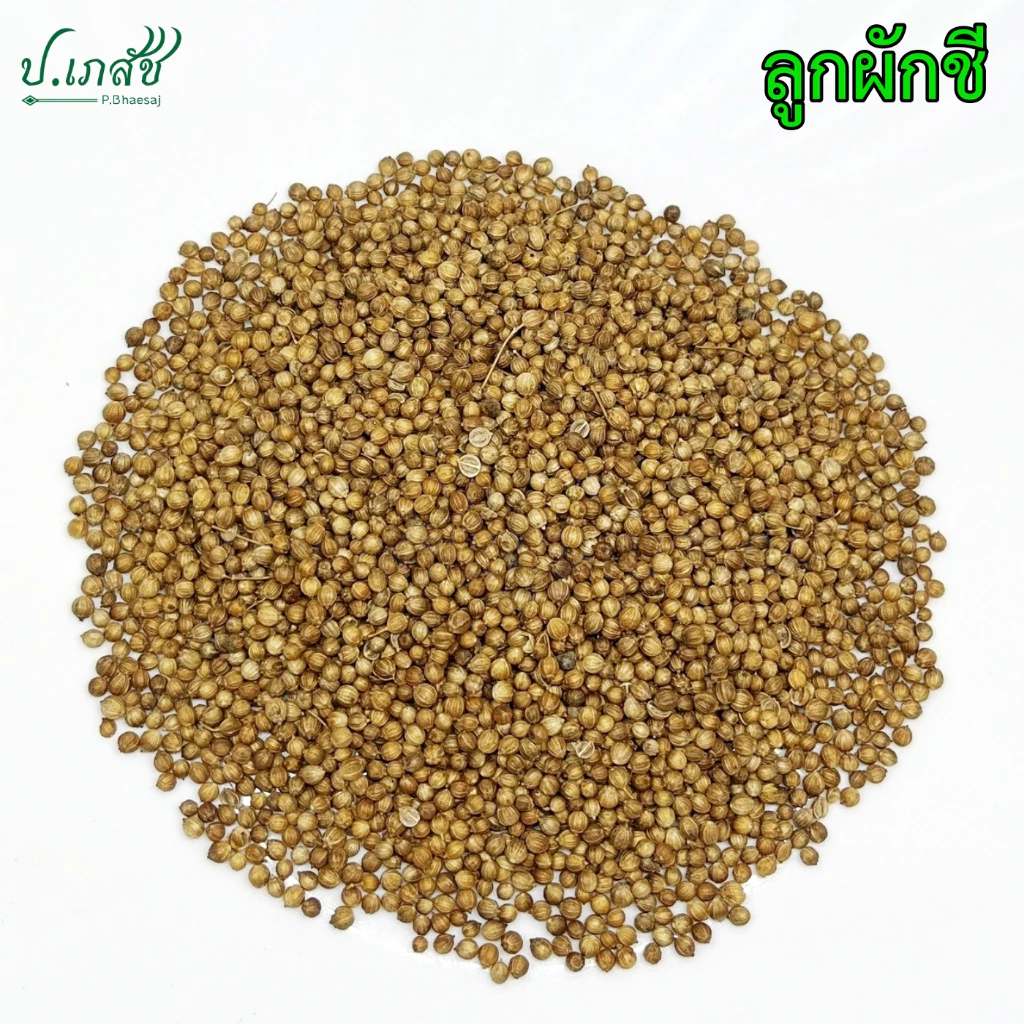 ลูกผักชี [50 / 100 กรัม] เม็ดผักชี เมล็ดผักชี Coriander seeds