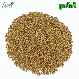 ลูกผักชี [50 / 100 กรัม] เม็ดผักชี เมล็ดผักชี Coriander seeds