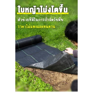 พลาสติกคลุมดิน ผ้าคลุมดิน พลาสติกคลุมหญ้า ฆ่าหญ้า 50 เมตร 100 เมตร คลุมวัชพืช ผ้าคลุมหญ้า กําจัดหญ้า