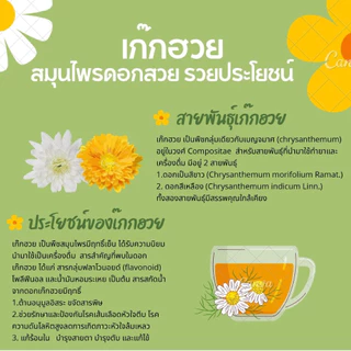 เก๊กฮวยผงสำเร็จรูป (ถุง) บ้านห้วยม่วง 300 กรัม