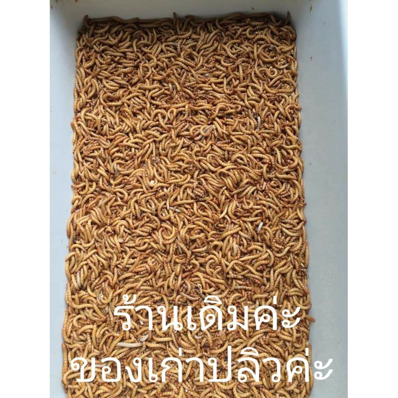 อาหารนก ขนาด 100 กรัม อาหารโปรตีนสำหรับสัตว์เลี้ยง