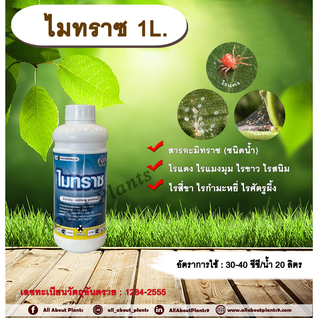 ไมทราซ 1L. อะมิทราซ สารกำจัดแมลง สารกำจัดไร ไรแดง ไรแมงมุม ไรขาว ไรสี่ขา ไรสนิม ไรกำมะหยี่ ไรศัตรูผึ้ง allaboutplants