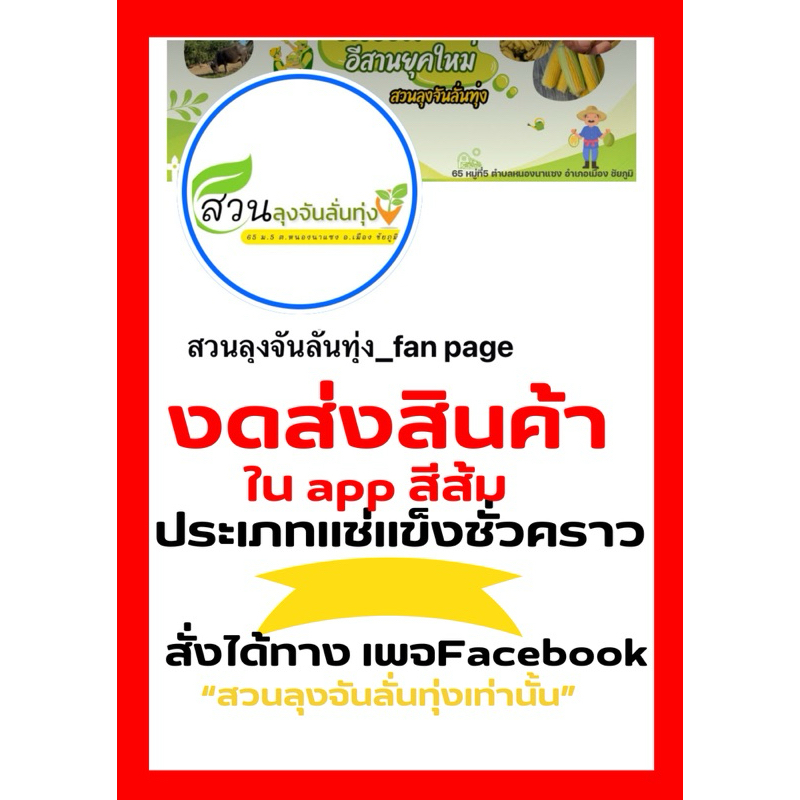 หนอนไหมพร้อมส่งรอบเดือน ธันวาคม