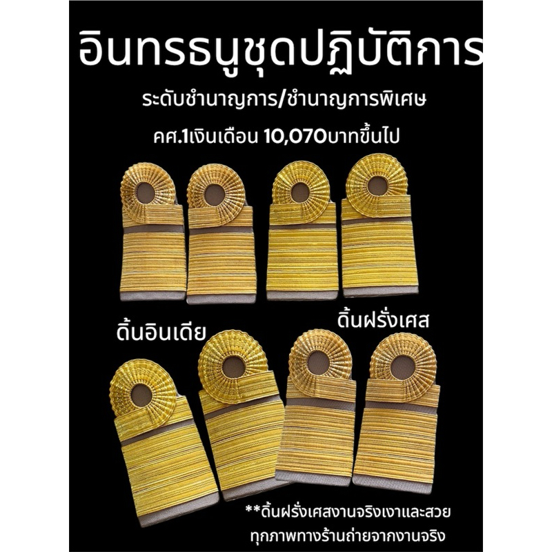 อินทรธนูชุดปฏิบัติการ ระดับชำนาญการ/ชำนาญการพิเศษ