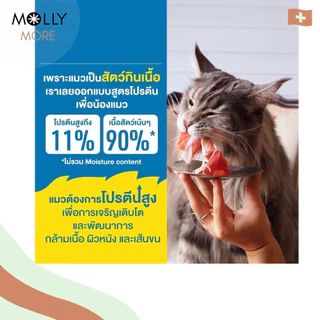 MOLLY✨ Pramy Carnivore พรามี่ คานิวอร์ อาหารเปียกแมว Pouch เกรดพรีเมี่ยม โปรตีนสูง กลูเตนฟรี สูตรสำหรับแมวแพ้ง่าย 70g.