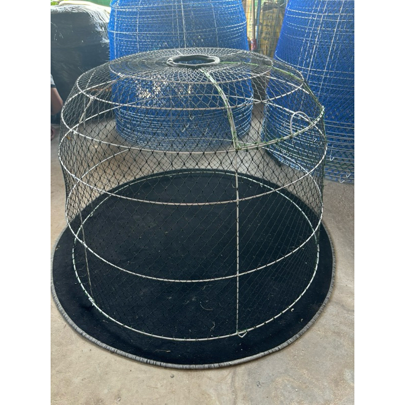 รูปภาพ 2