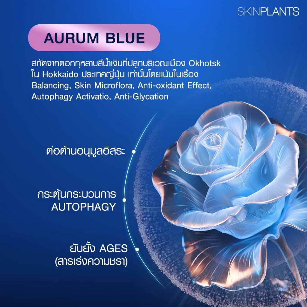 SKINPLANTS BLUE ROSE OVERNIGHT SLEEPING MASK ล๊อคน้ำในผิว จัดการ Zombie Cell ลดอายุผิว — صورة 4