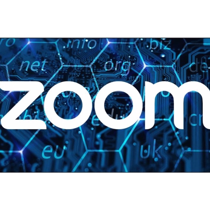 Zoom Pro Acc [100/300 Participants] [Full Warranty]