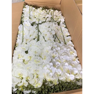 ดอกกล้วยไม้ กล้วยไม้ ฟาแลนด์ กล้วยไม้ประดิษฐ์ กล้วยไม้ผ้า9ดอก งานพลีเมี่ยมอย่างดี พร้อมส่งจากไทย