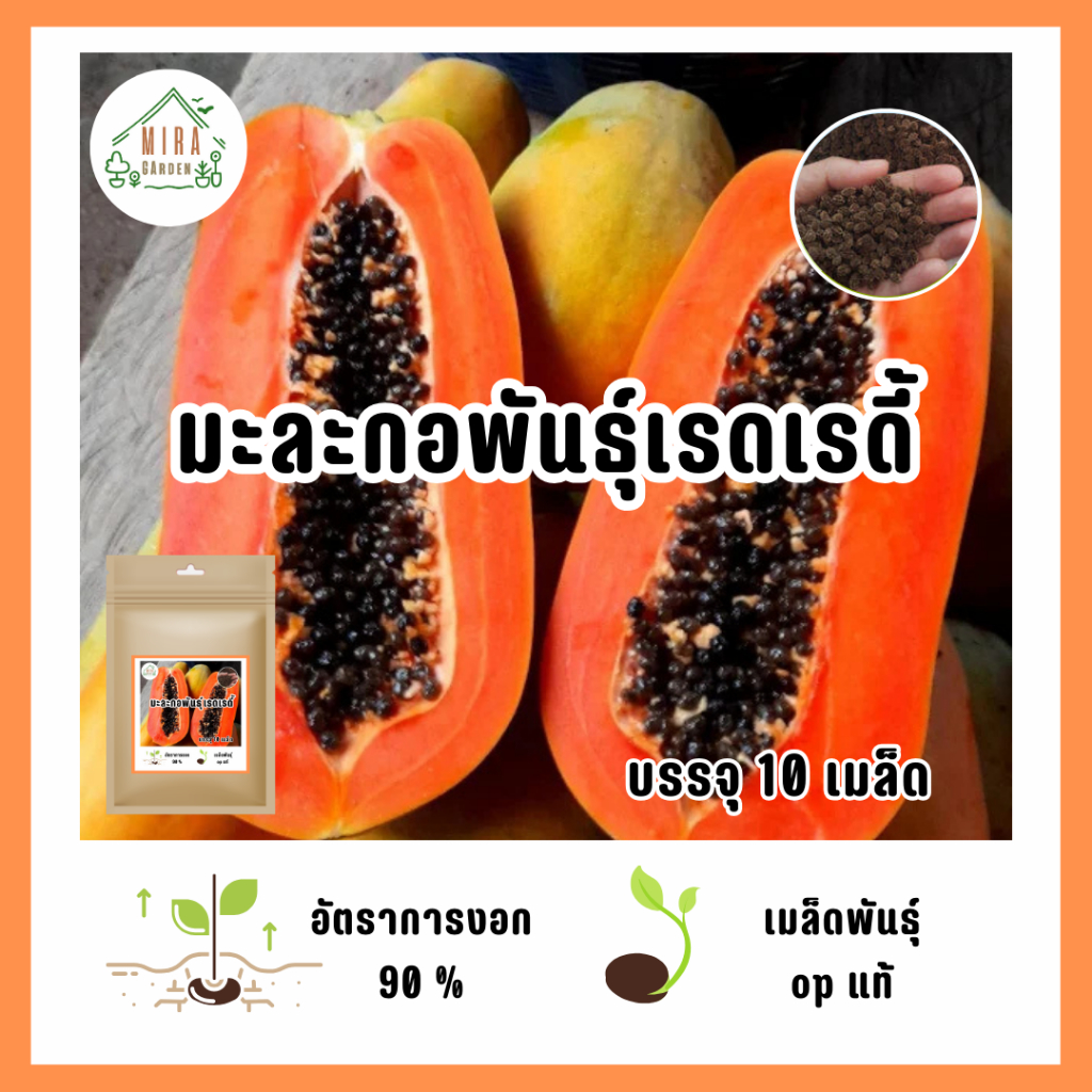 5บาท เมล็ดมะระกอพันธุ์เรดเรดี้ 10 เมล็ด