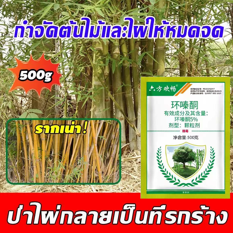 รากเน่าเสีย100ปี สารกำจัดกอไผ่ ยาฆ่าตอไม้ 500g สูตรเข้มข้น กำจัดวัชพืชรากเน่า ผลติดทนนาน สารกำจัดก่อไผ่ สารฆ่ากอไผ่