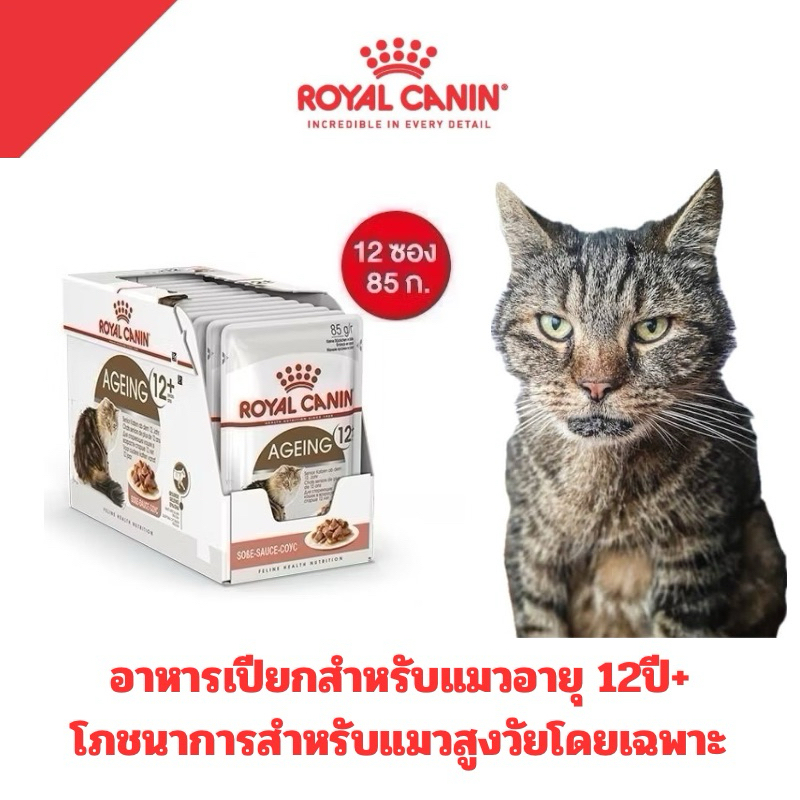 [1 กล่อง 12ซอง] ROYAL CANIN อาหารแมวเปียก สูตร Ageing 12+ แมวสูงวัย 12 ซอง