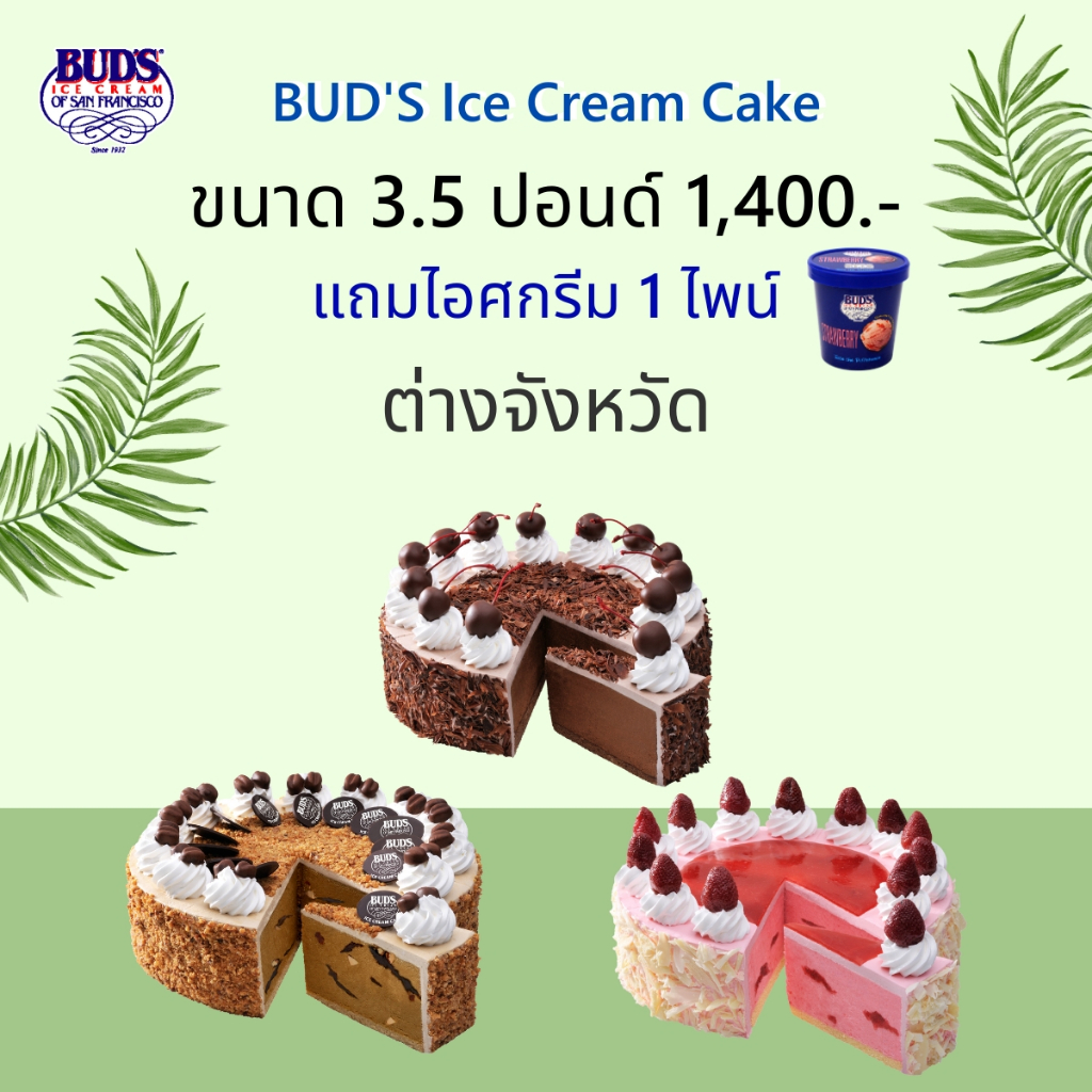 ซื้อไอศกรีมเค้ก 3.5 ปอนด์ แถมไอศกรีม 1 ไพน์ ต่างจังหวัด เพียง 1,400 บาท