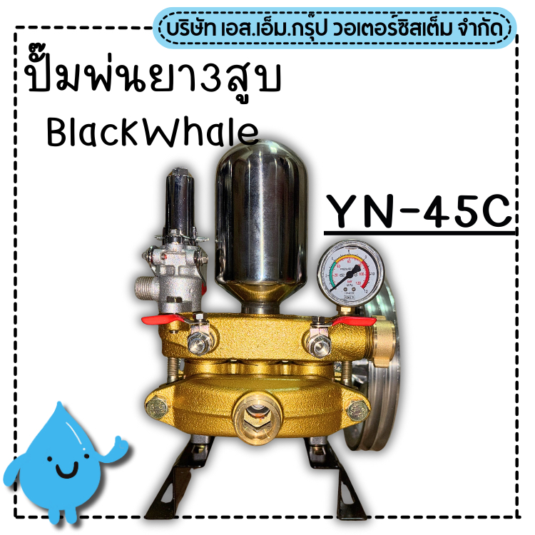ปั๊มพ่นยา3สูบBlackWhale รุ่น YN-45C ขนาด 1" หม้อลม ลูกสูบเซรามิค