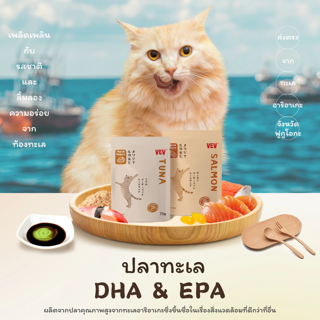 VEV อาหารเปียกแมว อาหารลูกแมว อาหารแมวโต อาหารแมวสูงวัย สูตรใหม่ ขนาด 75g