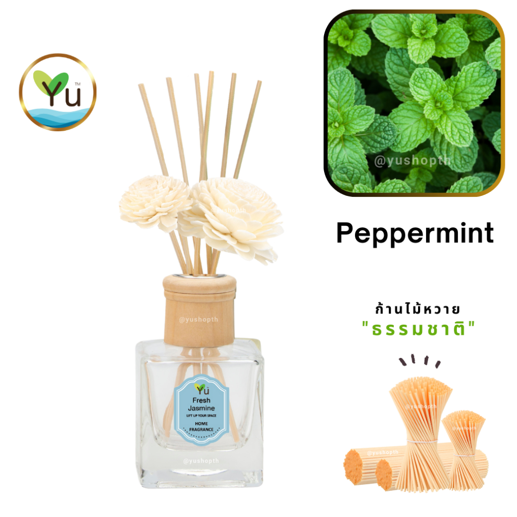 🌟 กลิ่น Peppermint เปปเปอร์มิ้นท์ 🌟Room Diffuser 150 ml. กลิ่นหอมเย็นสดชื่นมาก หอมเย็นปลอดโปล่งโล่งสบาย ก้านไม้หอม