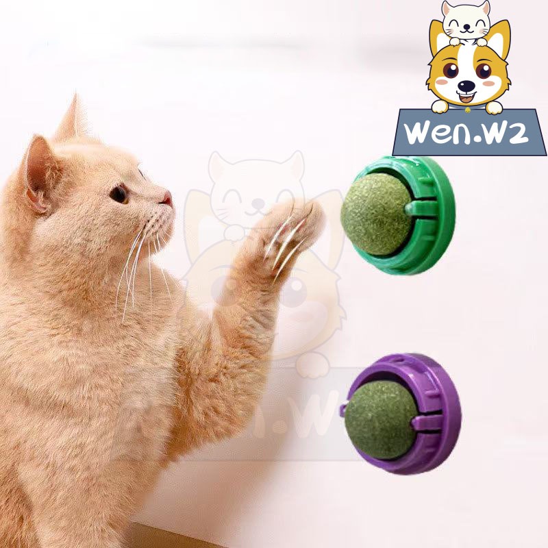 Wen.W2กัญชาแมว หญ้าแมว กันชาแมว แคทนิปแมว catnip ball กันชาแมวเลีย แคทนิปบอล ติดกำแพง