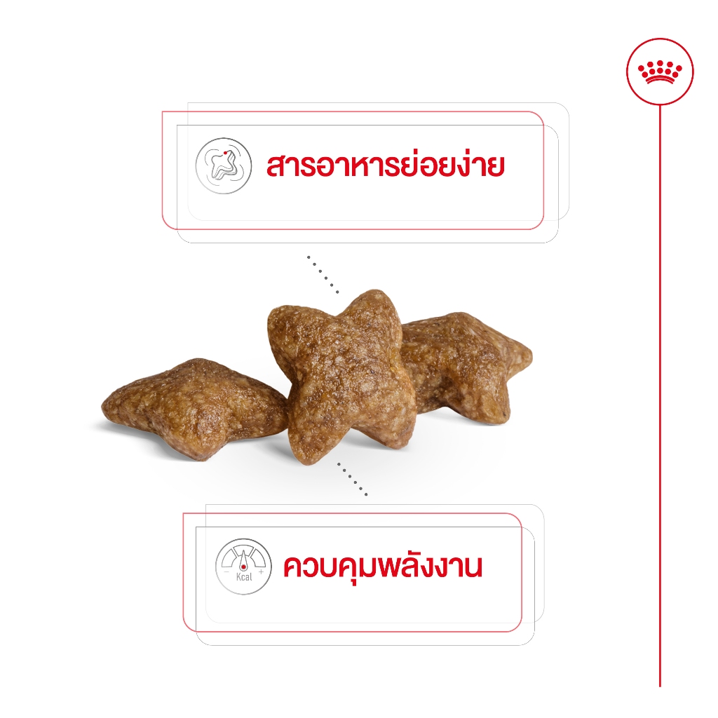 [หมดอายุ 1/27] Royal canin Mini adult 4 Kg อาหารสุนัขโตพันธุ์เล็ก 10 เดือน - 8 ปี - รูปที่ 3